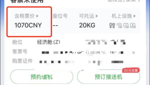 飞机账号购买 17：探索相关交易背后的秘密与风险