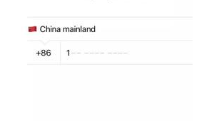 86手机号注册纸飞机的详细步骤及注意事项