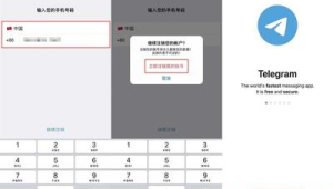 Telegram登陆后竟成新账号，背后缘由令人探寻