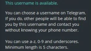 Telegram账号：探索其独特魅力与丰富多样的使用体验