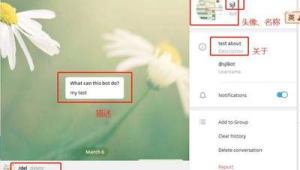 Telegram分享：便捷交流新方式，传递精彩无界限