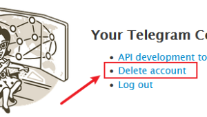 Telegram会自动注销吗？探究其账号自动注销相关情况
