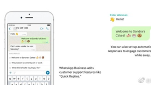 Telegram盈利之道：探索多种模式实现商业价值最大化
