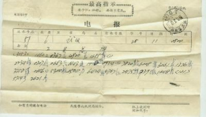 电报账号在哪里看：探寻获取账号位置的方法与途径